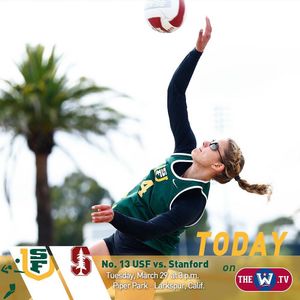 Image post by @usfdonsvb on Instagram