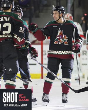 Image post by @arizonacoyotes on Instagram