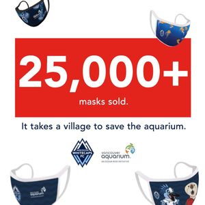 Image post by @whitecapsfc on Instagram