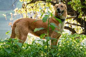 Image post by @jonathn_roberts on Instagram