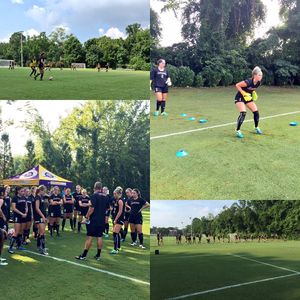Image post by @lipscombwsoc on Instagram