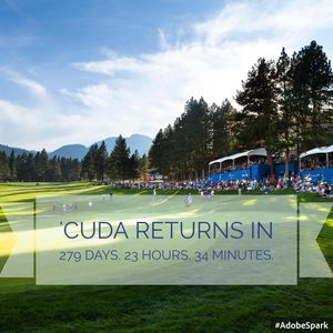 Image post by @barracudachampionship on Instagram