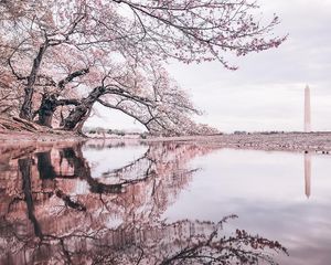 Image post by @cathaypacific on Instagram