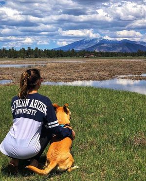 Image post by @nauflagstaff on Instagram