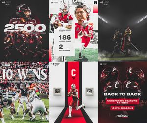 Image post by @GoBEARCATS on Twitter