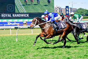 Image post by @australianturfclub on Instagram