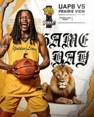 Image post by @uapblionswbb on Instagram
