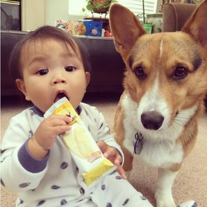 Image post by @babymummums on Instagram