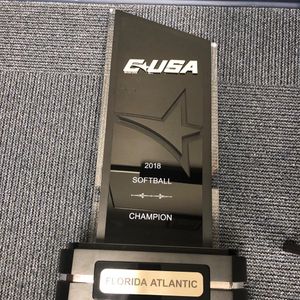 Image post by @fausoftball on Instagram