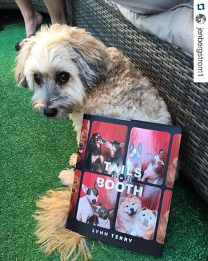 Image post by @gallerybooks on Instagram