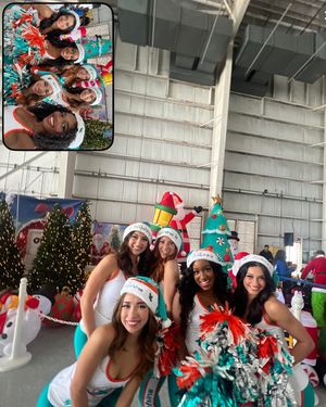 Image post by @dolphinscheer on Instagram
