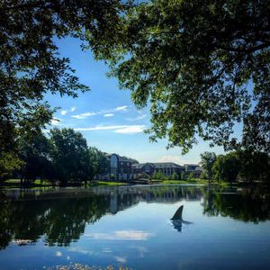 Image post by @elonuniversity on Instagram
