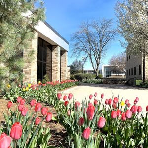Image post by @walshuniversity on Instagram