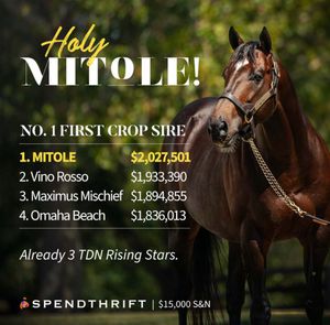 Image post by @theTDN on Twitter