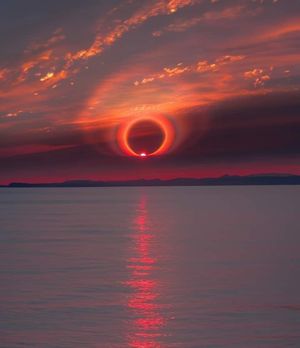 Image post by @fubiz on Instagram