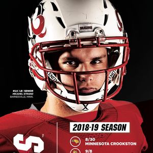 Image post by @msumdragons on Instagram