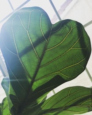 Image post by @zeetabody on Instagram