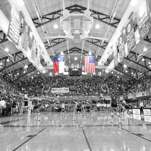 Image post by @texasvolleyball on Instagram