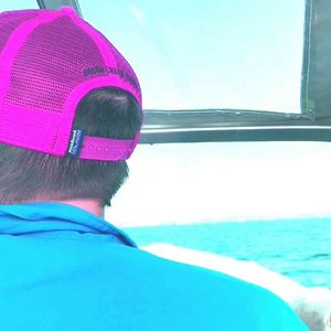 Image post by @tastychewy on Instagram