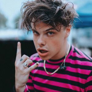 Image post by @vanswarpedtour on Instagram