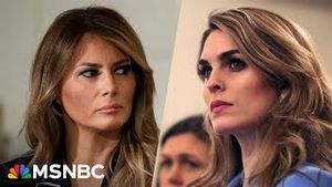 Video post by @msnbc on YouTube