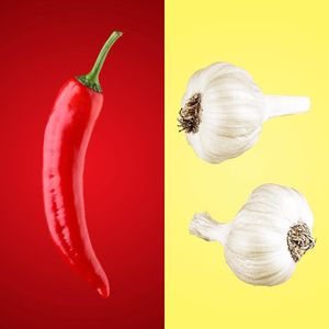 Image post by @bwwings on Instagram