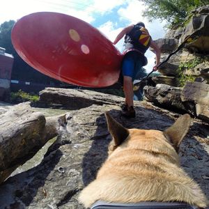 Image post by @nicktroutmankayak on Instagram