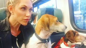 Image post by @laraleatrump on Instagram