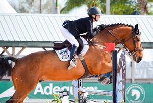 Image post by @gracescreative on Instagram