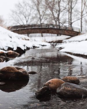 Image post by @cityofcalgary on Instagram