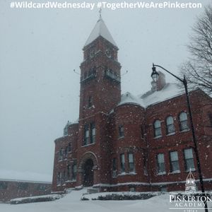 Image post by @pinkertonacademy on Instagram