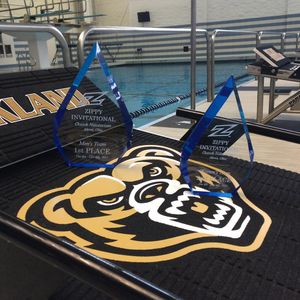 Image post by @oaklandswimdive on Instagram