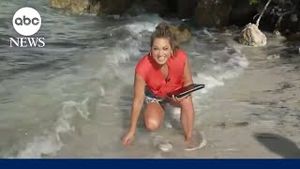 Video post by @abcnews on YouTube
