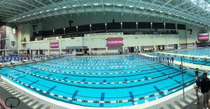 Image post by @nevadaswimdive on Instagram