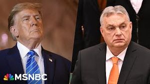 Video post by @msnbc on YouTube