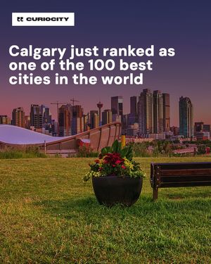 Image post by @curiocitycalgary on Instagram