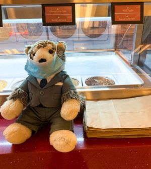 Image post by @ncstatecareerdevelopment on Instagram