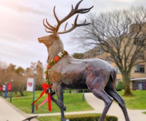 Image post by @fairfieldu on Instagram
