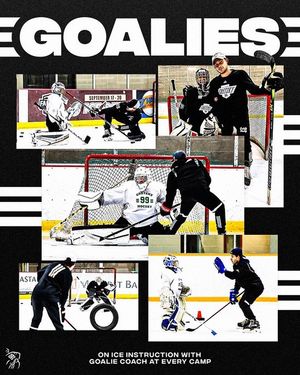 Image post by @gretzkyhockeyschool on Instagram
