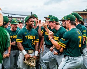 Image post by @wmtribebaseball on Instagram