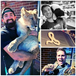 Image post by @dudeperfect on Instagram