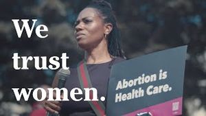 Video post by @The Democrats on YouTube