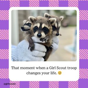 Image post by @girlscouts on Instagram