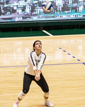 Image post by @binghamtonvb on Instagram