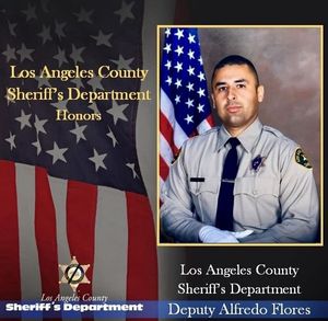 Image post by @temlasd on Instagram