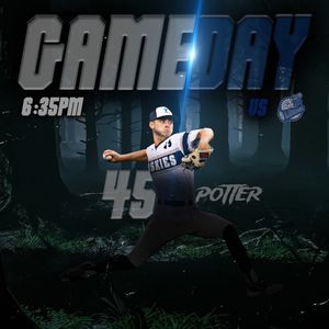 Image post by @duluthhuskies on Instagram