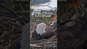 Video post by @accuweather on YouTube