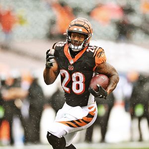 Image post by @bengals on Instagram