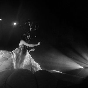Image post by @amandabolinphotography on Instagram