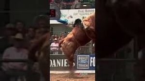 Video post by @pbr on YouTube